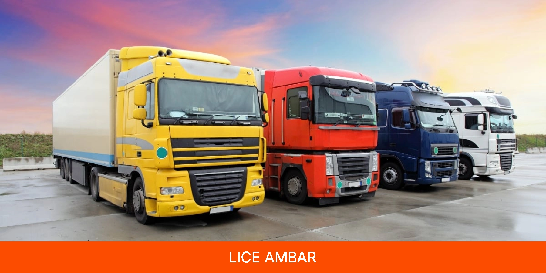 Lice Ambar