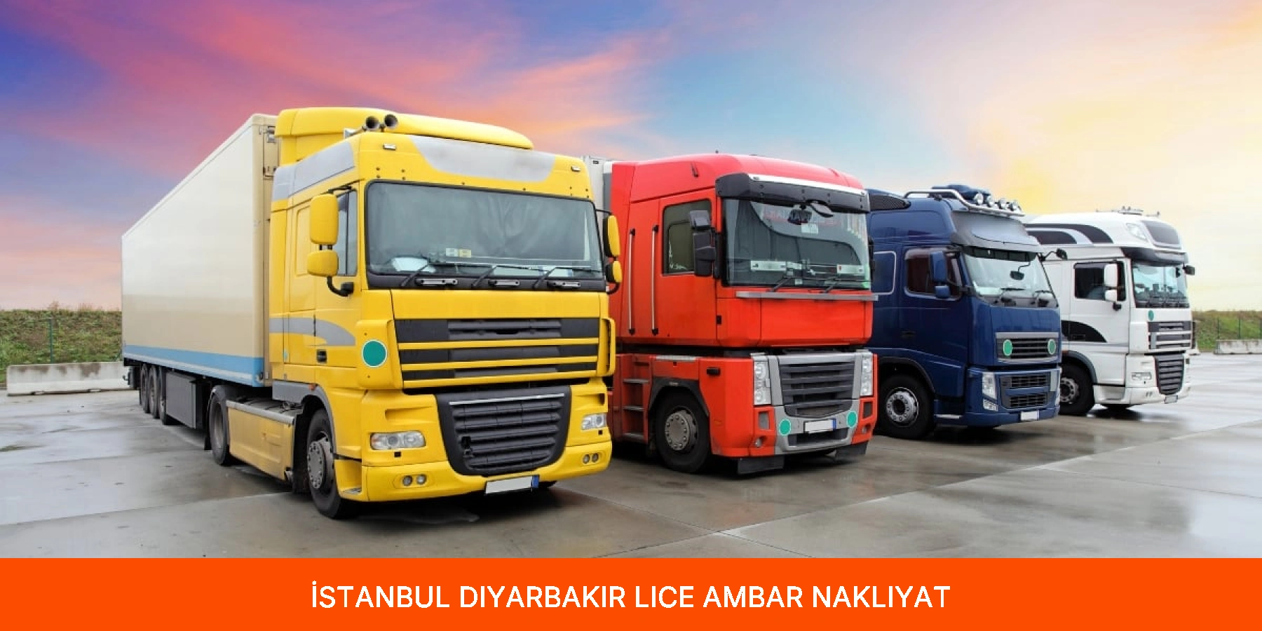 Lice Ambar